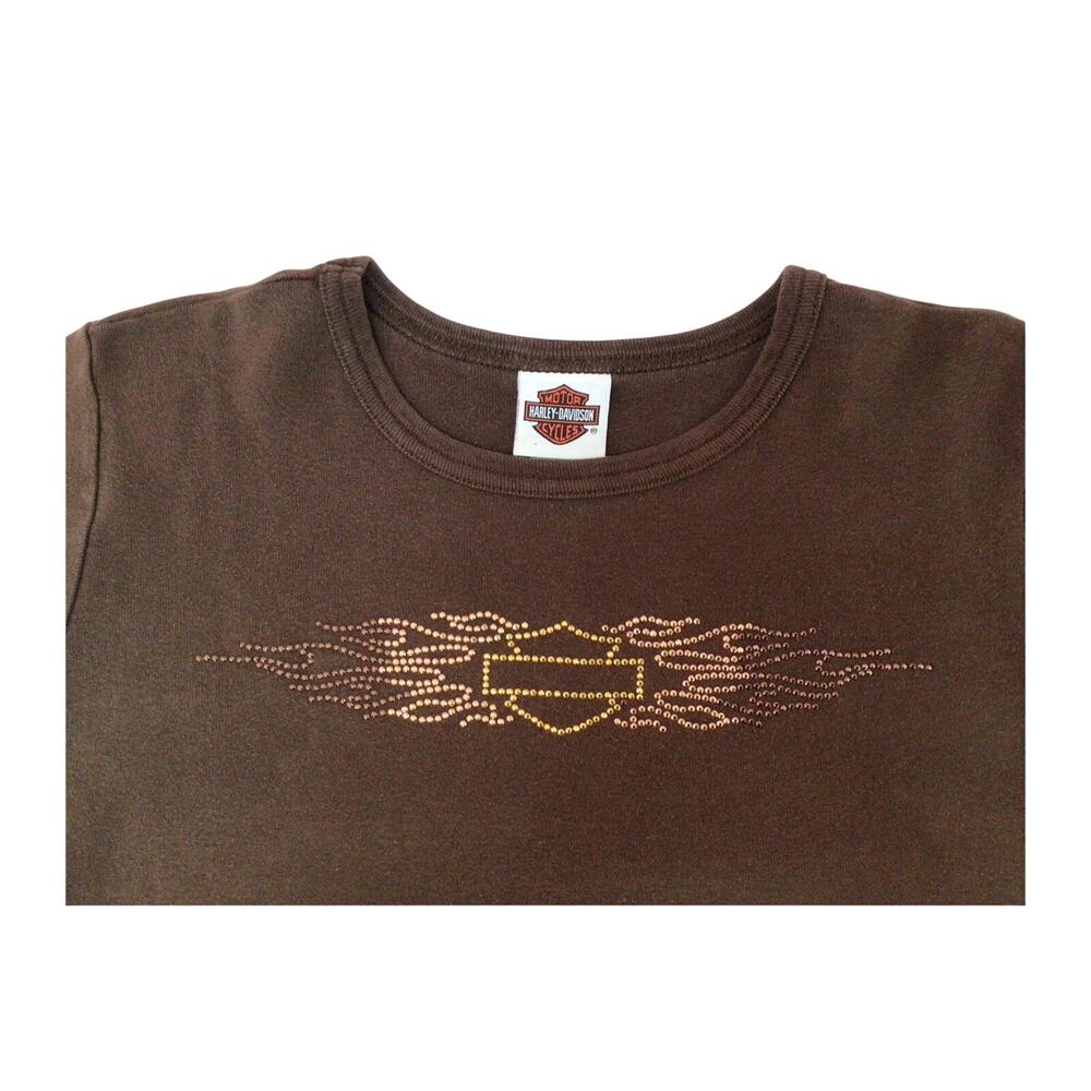 Harley Davidson Logo Short Sleeve T Shirt Brown 2XL